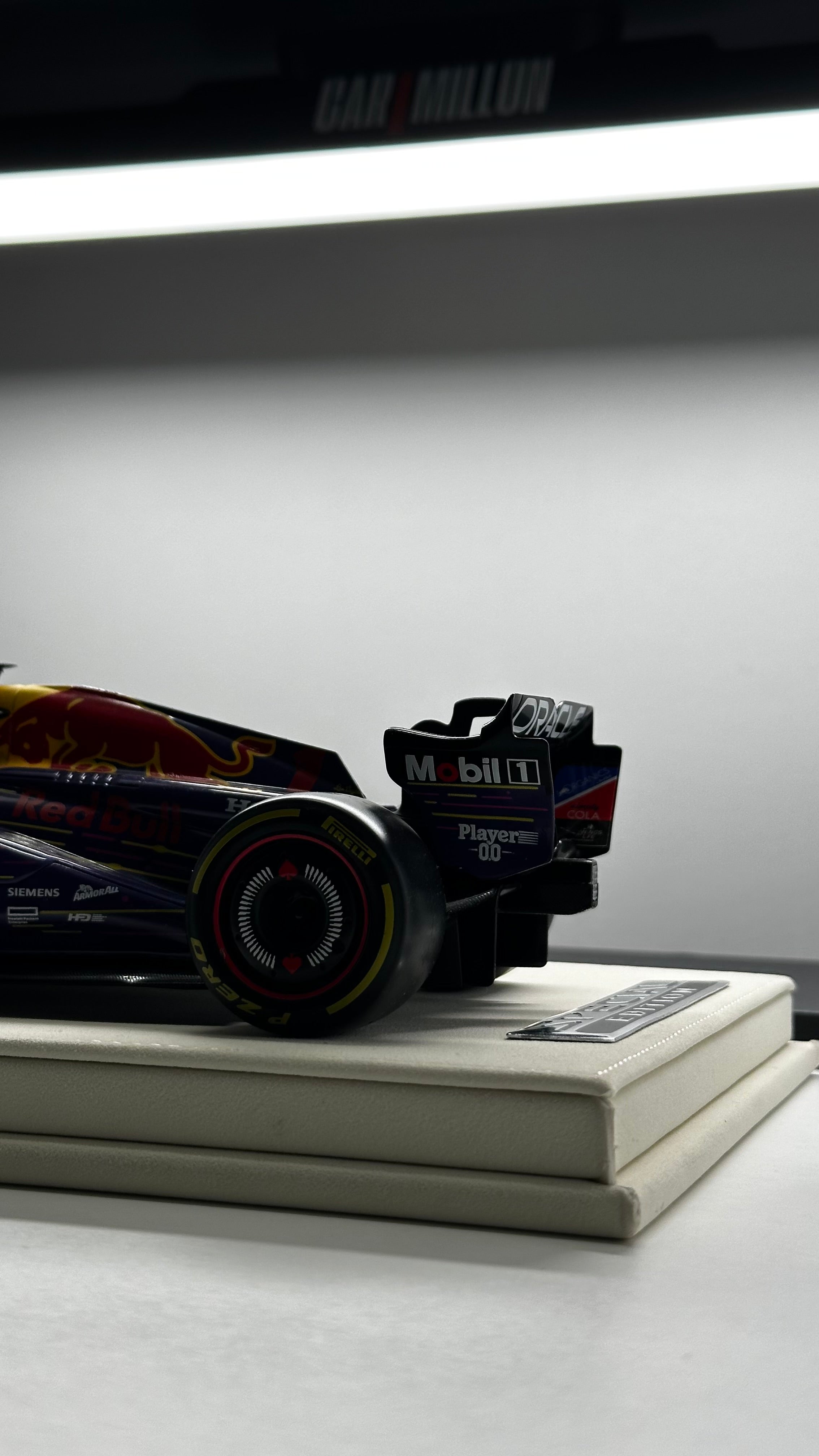 RED BULL RB20 World Champion — Imola GP 2024 M. Verstappen