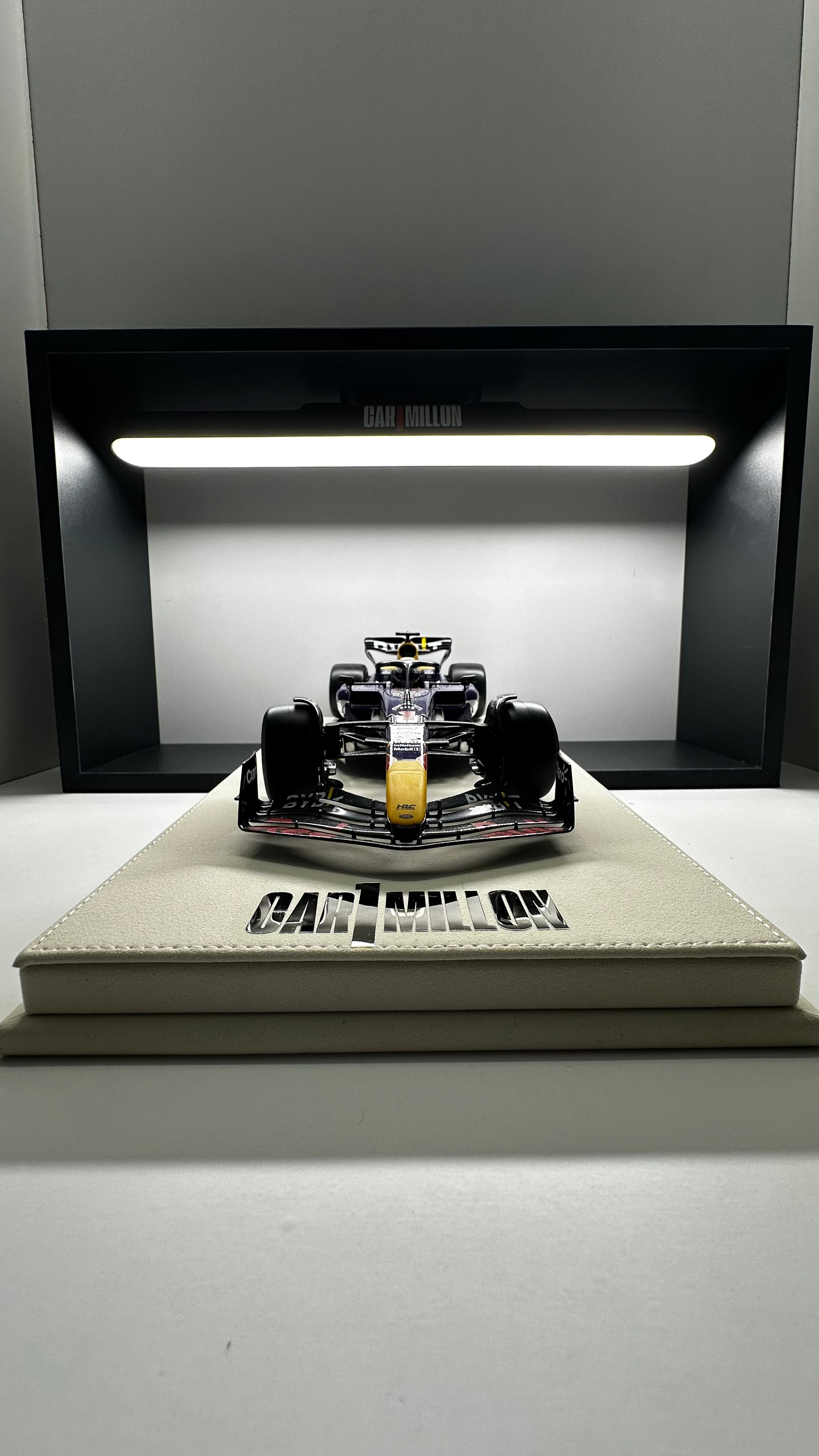 RED BULL RB20 World Champion — Imola GP 2024 M. Verstappen