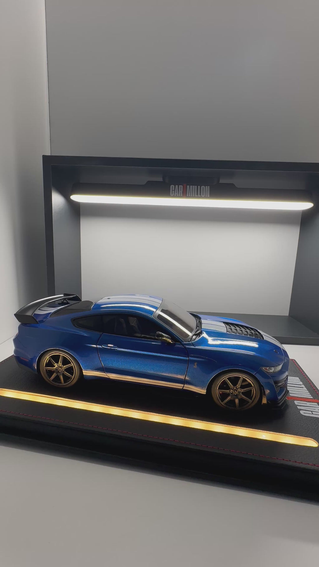 FORD MUSTANG SHELBY GT500