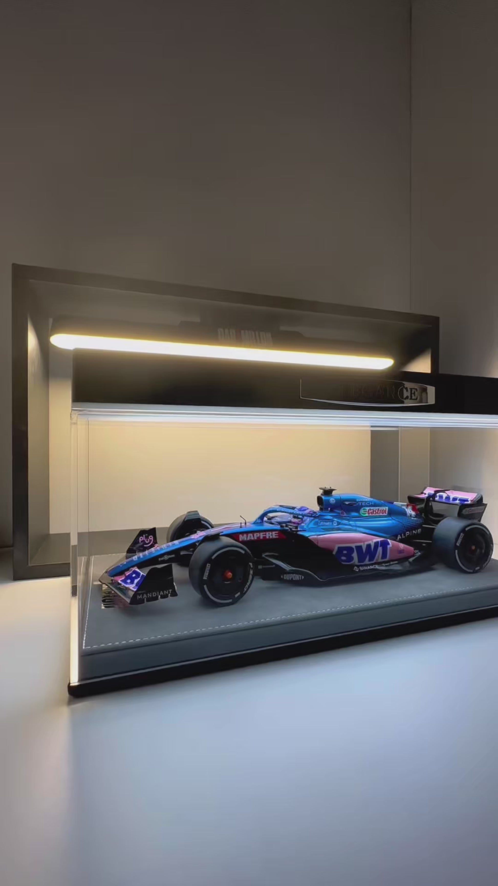 ALPINE 2022 Fernando Alonso