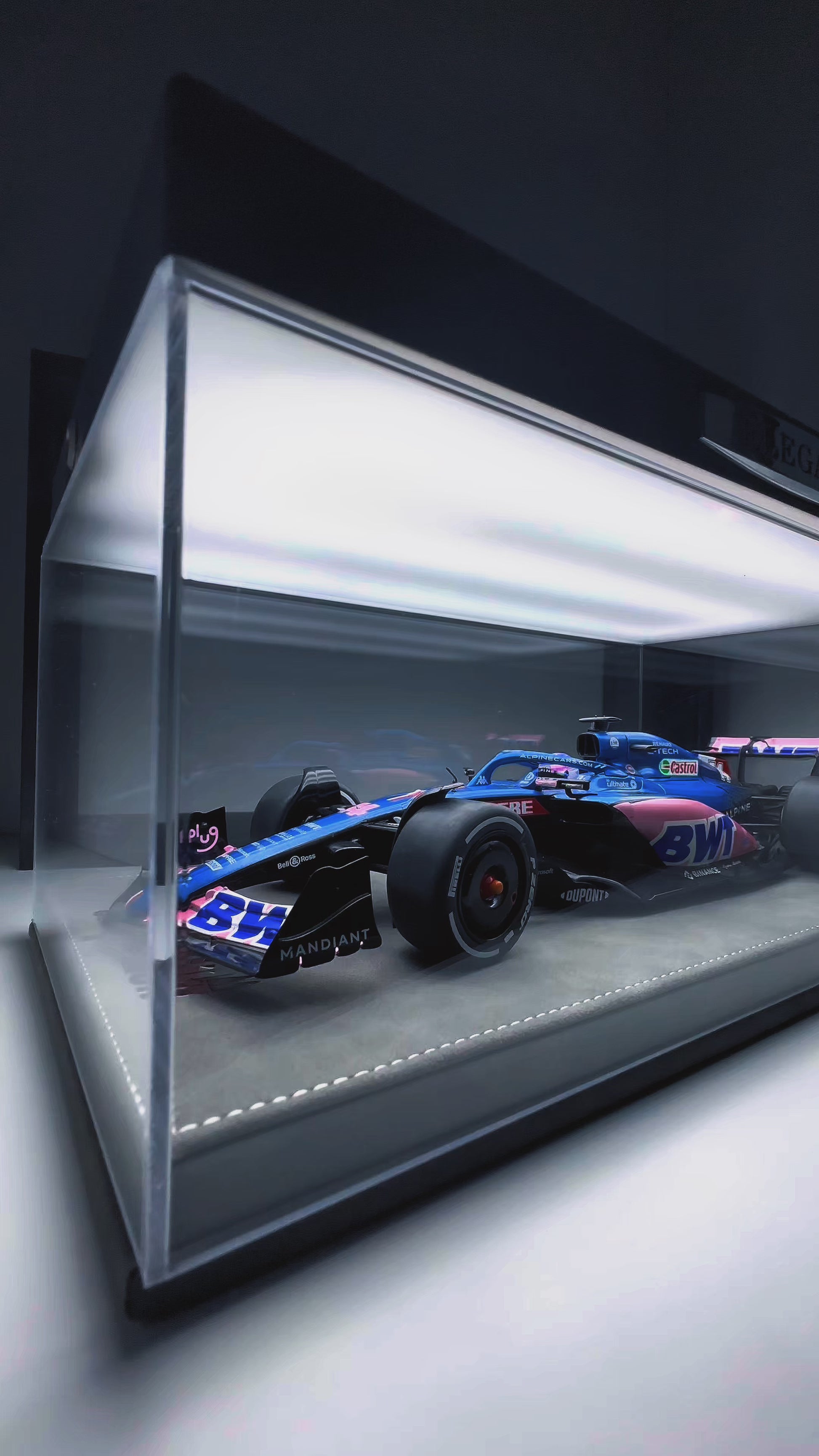 ALPINE 2022 Fernando Alonso